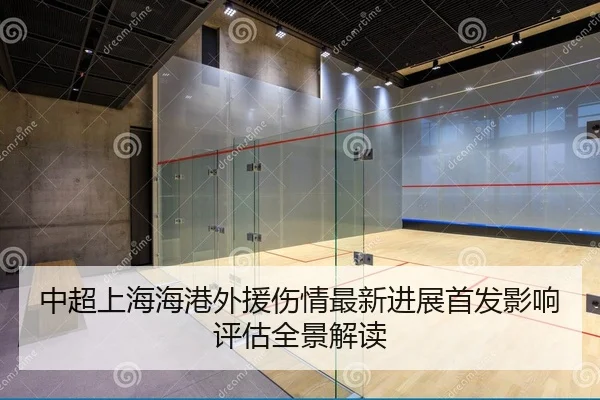 中超上海海港外援伤情最新进展首发影响评估全景解读